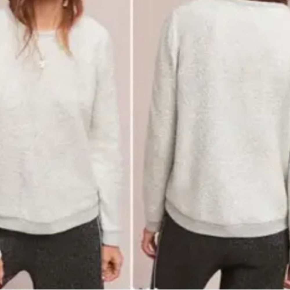 Anthropologie DOLAN Left Coast Silver Shine Sweatshirt M